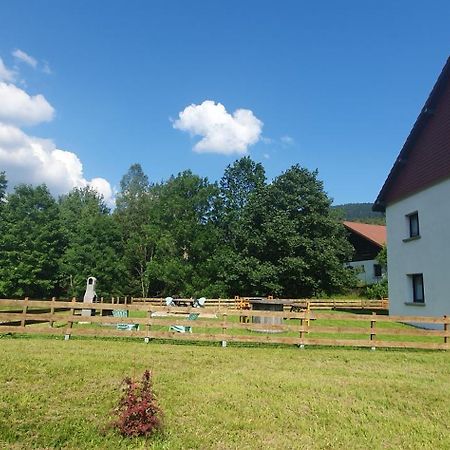 Appart Le Cerf 4 Etoiles 74M2 Cornimont Exterior photo